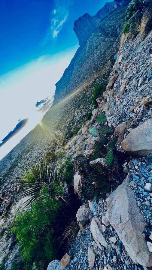A Taste Of West Texas The Old Rock Shop Villa Van Horn Exteriör bild